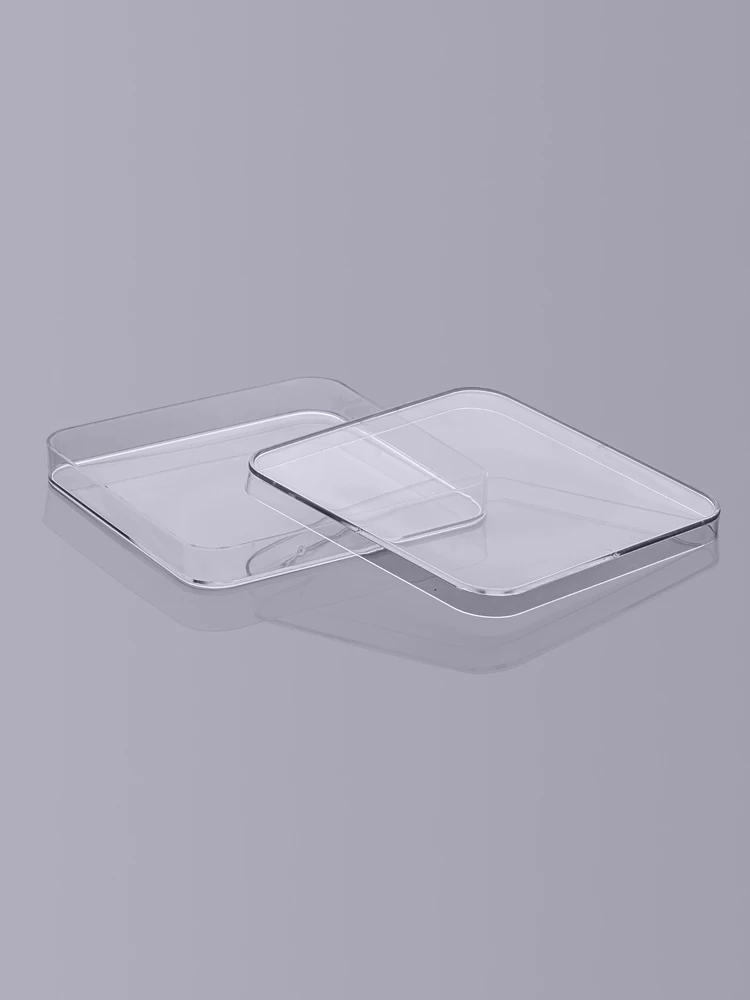 Picture 6: Laboratory analysis Disposable Plastic Polystyrene Petri Dishs 13*13cm,Sterile, 10pcs/pack