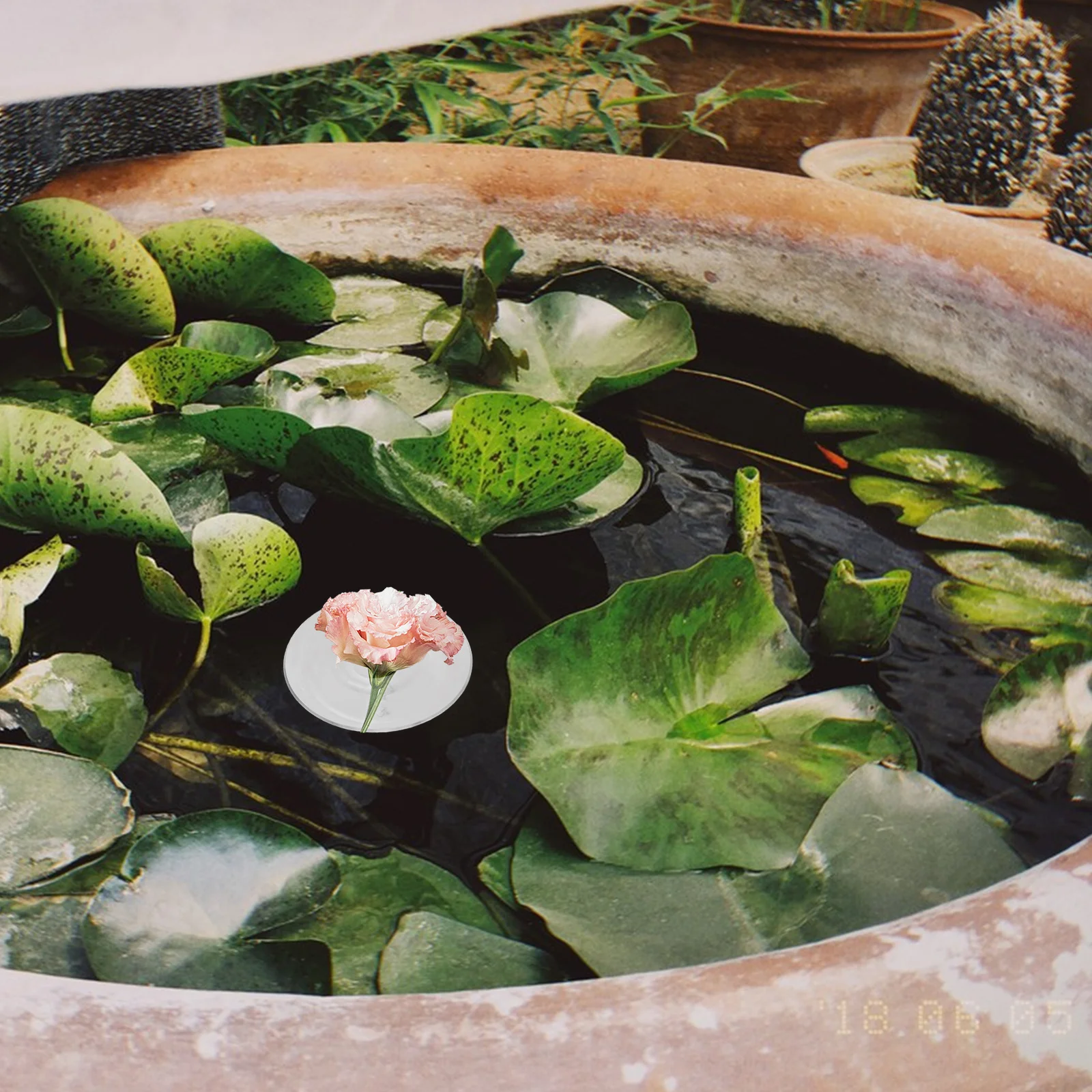 

6Pcs Hydroponic Floating Flower Holder Clear Plastic Insert Floral Arrangement Fixed Tool for Bouquets Vase Home Decoration