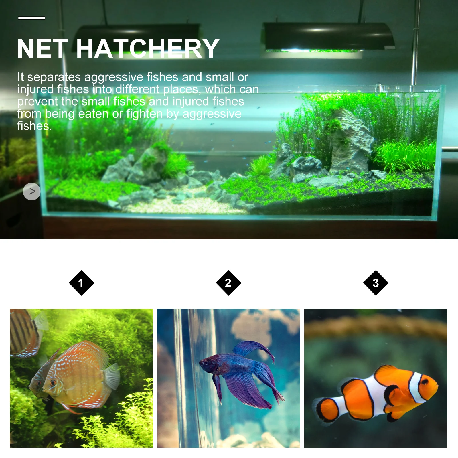 

Aquarium Fish Tank Separator Net Breeder Partition Bracket for Isolation Plastic Frame Increases Survival Rate Segregating