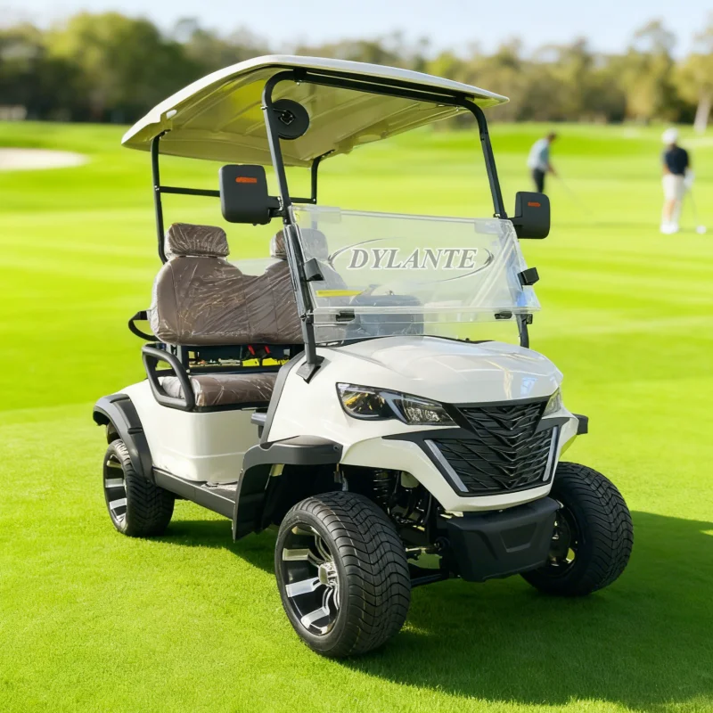 ODM التخصيص 30% غطاء القيادة منحدر الشارع القانوني 48/60/72 فولت 4/5/7kw لوحة طاقة شمسية بالطاقة 2 4 مقاعد على الطرق الوعرة عربة جولف كهربائية #1