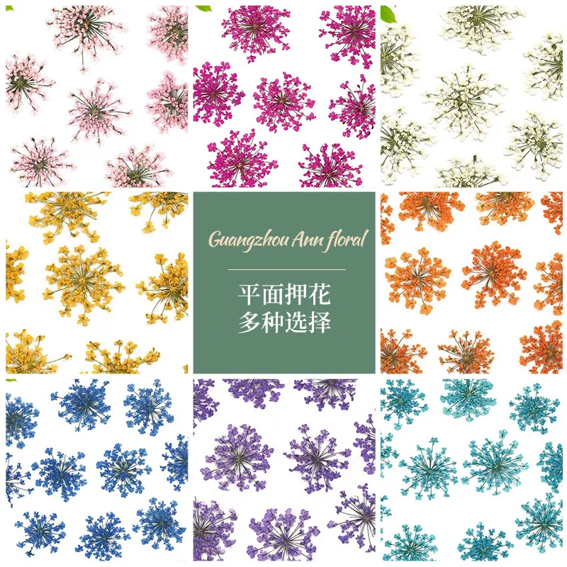 12PCS/Pack Nail Supplies 3D Natural Babysbreath Dried Flower Sticker For Nails Art Decoration Floral Design Manicure Accessories