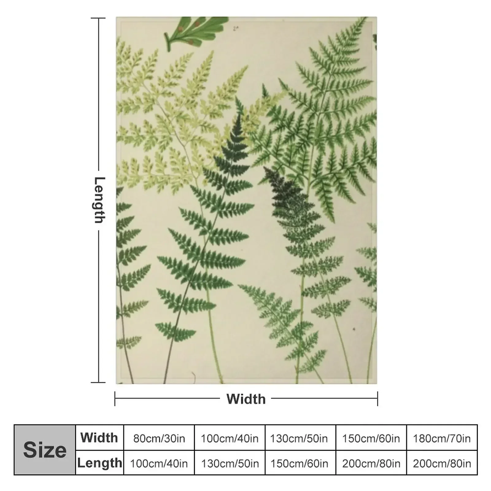 Botanical Ferns Throw Blanket couch cozy soft plush fuzzy picnic outdoor blanket