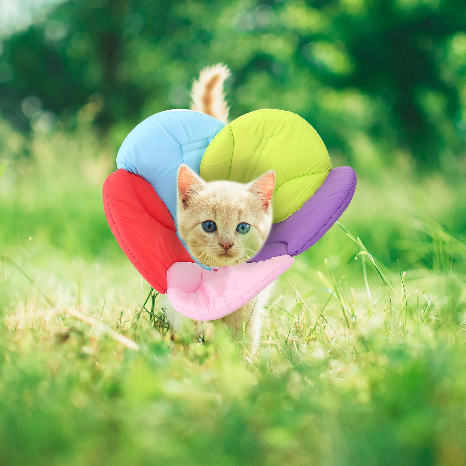 

Flower Protective Pet Collar Size L Lightweight Durable Elizabethan Collar Prevents Scratching Licking Injuries Wounds Recovery