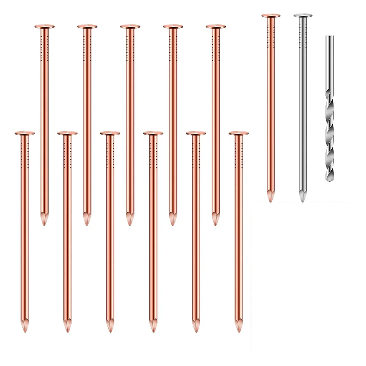 Qualitative 14Pcs Copper Nails Kit to Killing Trees,3.5 Inch Pure Copper Nails Bulk,Stump Removal Spikes Hardware Nails for Tree
