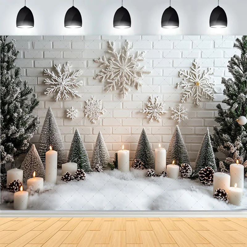 Winter Merry Christmas Festive Windows Photography Background Snowflakes Birthday Party New Year Photo Studio Backdrops PL-05