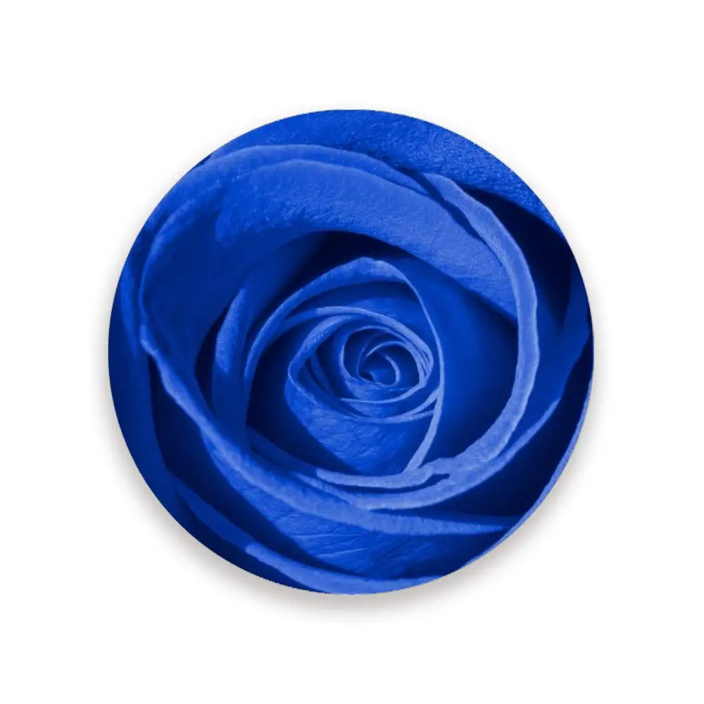 Rose Floral Absorbent Ceramic Drink Coaster with Cork Back, Individual Circle Coaster, Protects Tabletop,Great Housewarming Gift