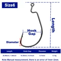 Size 6