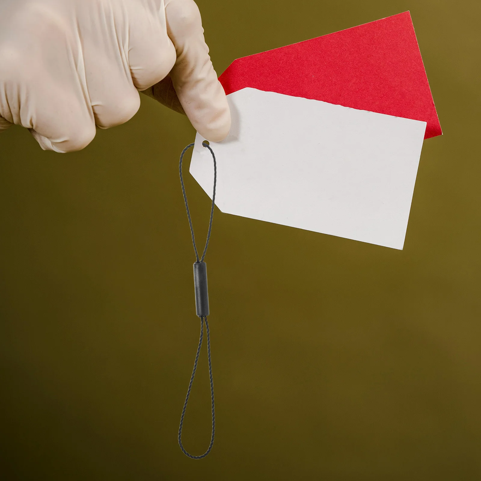 

1Pack Black Cylinder Double Lock Hang Tag String Durable Tamper Proof Clothing Shoes Bags Apparel Accessories Tag Fasteners