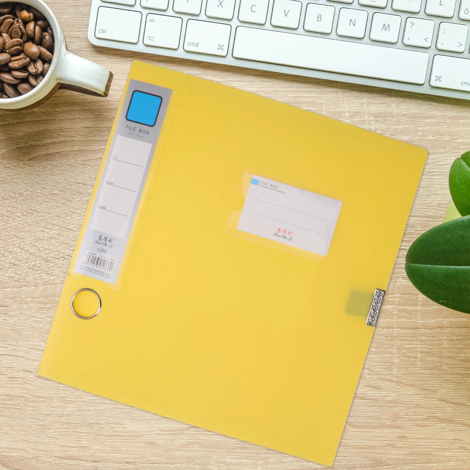 5Pcs PP File Storage Boxes Document Organizer for Office School Home Mixed Colors Document Holder