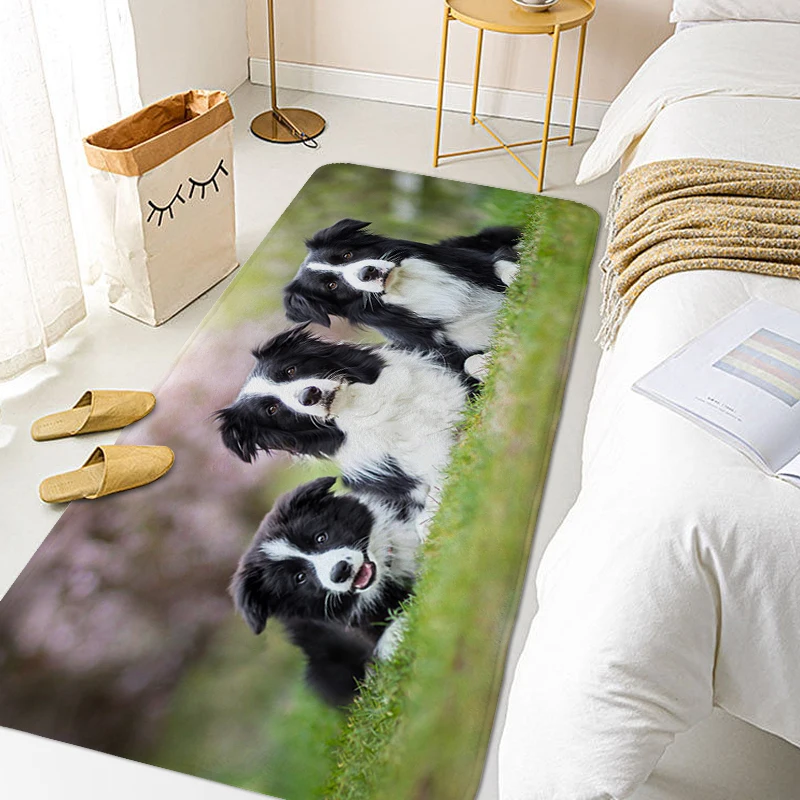 Border Collie Dog Carpet for Bedroom Bathroom Rug Aesthetic House Entrance Mat Useful Things for Home Living Room Floor Carpets