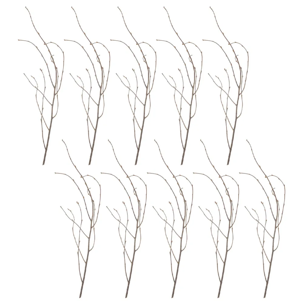 12 قطعة فروع شجرة مجففة طبيعية أغصان زخرفية ريفية لقطعة مركزية للمزهرية ديكور المنزل فروع مجففة نباتات تزيين #5