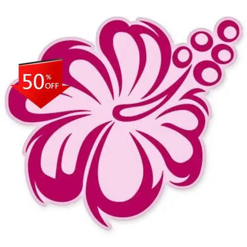 

Hibiscus Pink Cute Laptop Motor Home Bumper Walls Decoration Cool Trendy Retro Funny