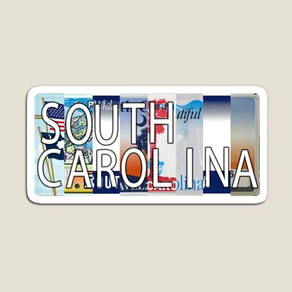 Tarjetas de matrícula de Carolina del Sur, soporte divertido magnético para niños, organizador de nevera, pegatinas para refrigerador, bonito juguete para el hogar del bebé