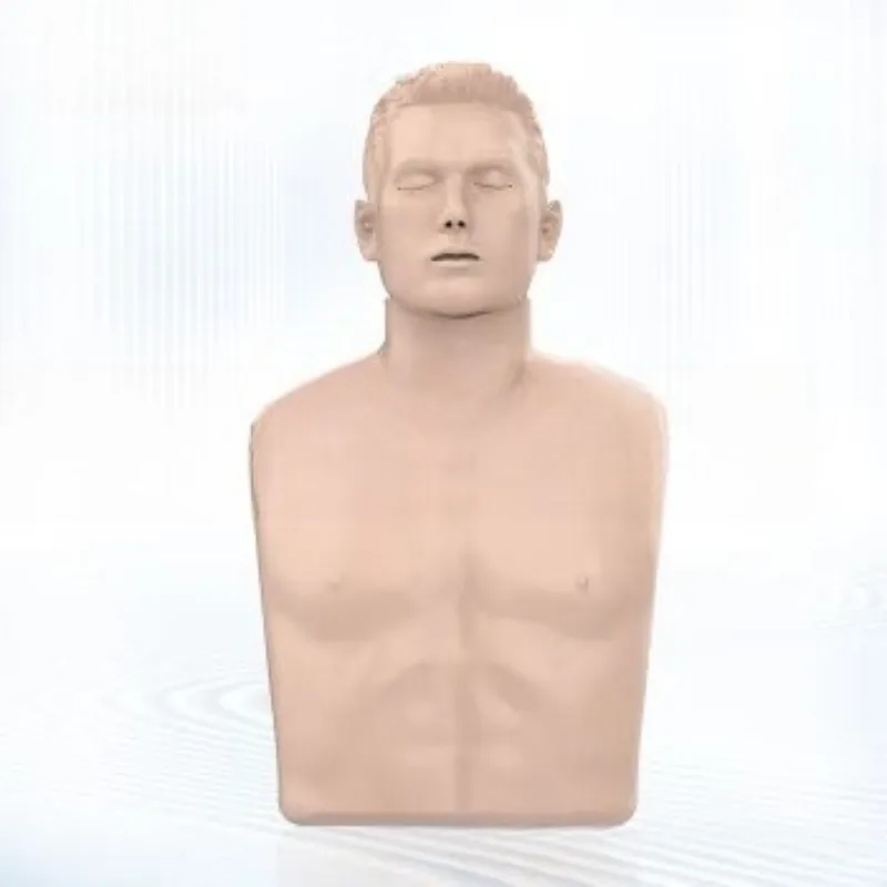 

Cardiopulmonary resuscitation blood circulation simulation human half body CPR cardiac first aid teaching training dummy model