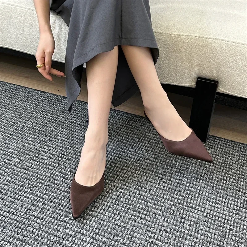 Aneikeh Sexy Pointed Toe Mules Low Heels Shoes Slippers Women High Quality Fashion Dress Casual Zapatos De Mujer view 6