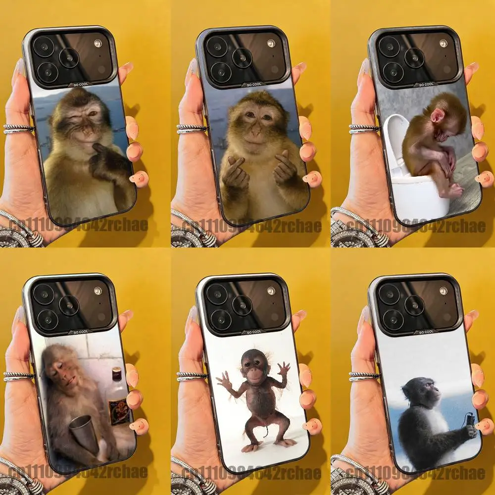 For Funny Monkey MEME Phone Case iPhone 14,16,12,15,13,17,11,E,Pro,Max,Plus,Air,Mini Black Soft Cover