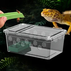 3-Piece Set Reptile Glass Container - Includes Plastic Shell with Vent, Feeding Tray and Tweezers for Spiders, Snakes, Etc.