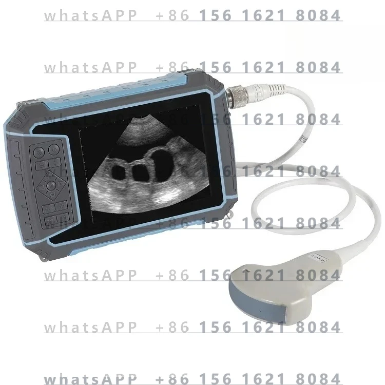 

medical Wholesale 5.7 inch high resolution display handheld veterinary scanner portable veterinary ultras