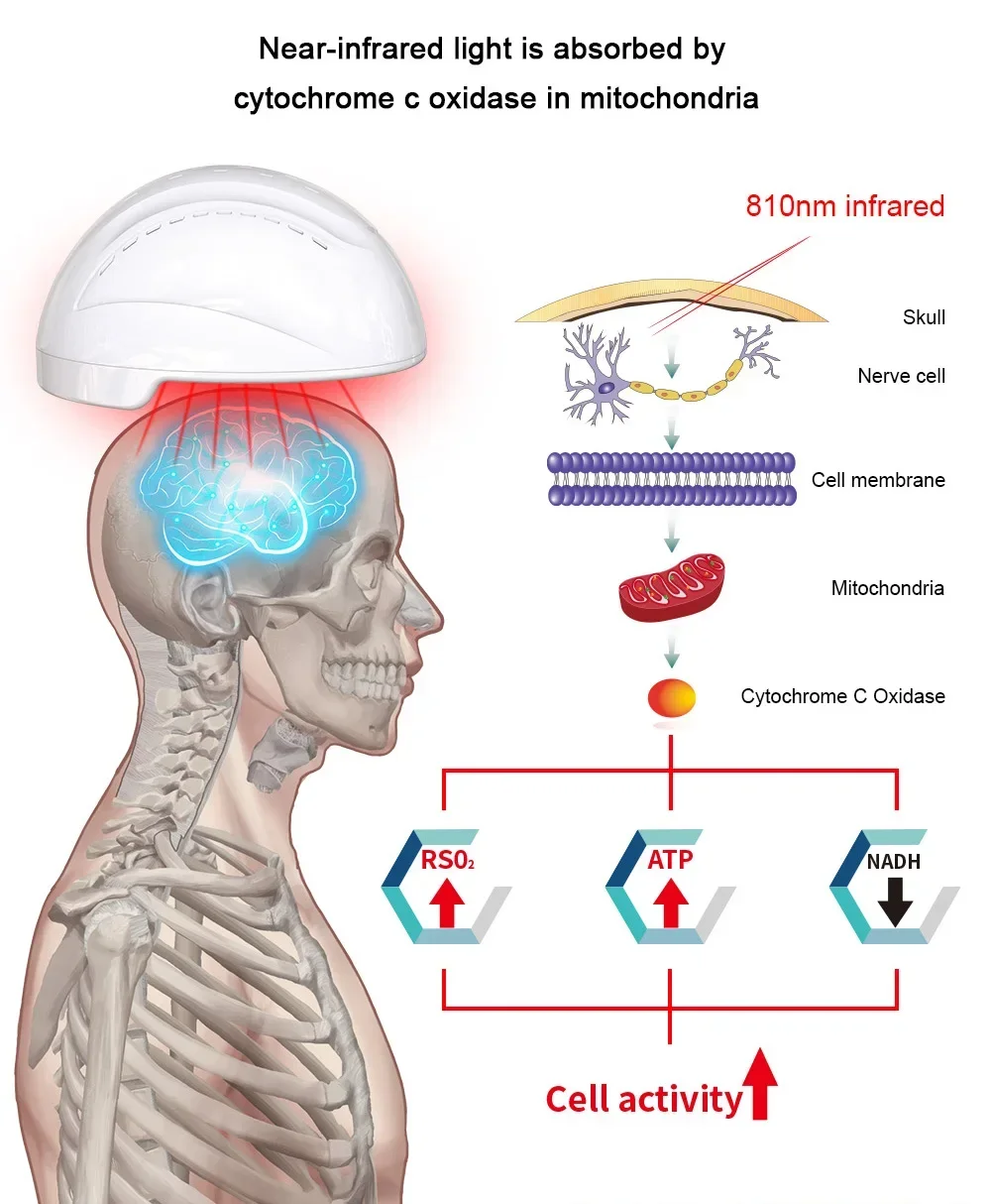 Suyzeko Stroke Rehabilitation Equipment Helmet Led Brain Terapia Brain Stimulator Frequency Infrared Therapy Lamp 810nm