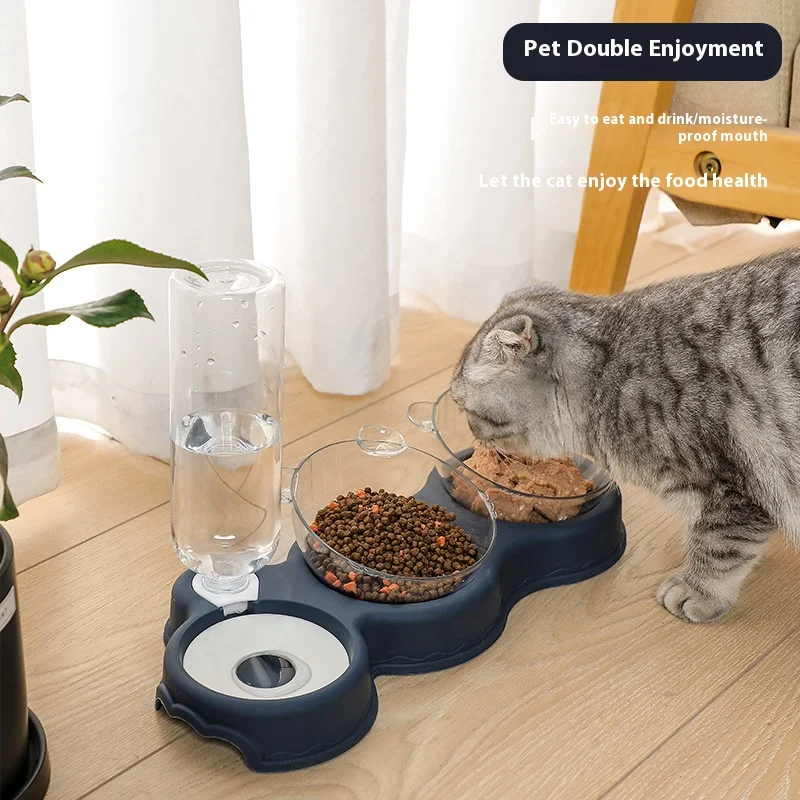 

Dog Bowls 2 Stainless Steel Bowl for Pet Water and Food Feeder with Non Spill Skid Resistant Silicone Mat for Pets Puppy Small