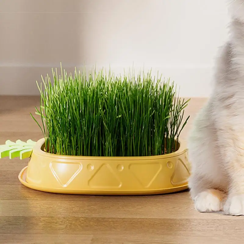 Cat Grass Pot Soilless Culture Growing Kit Pineapple Design Wheat Grass Pot Soil-Free Planting Box Indoor Organic Catgrass