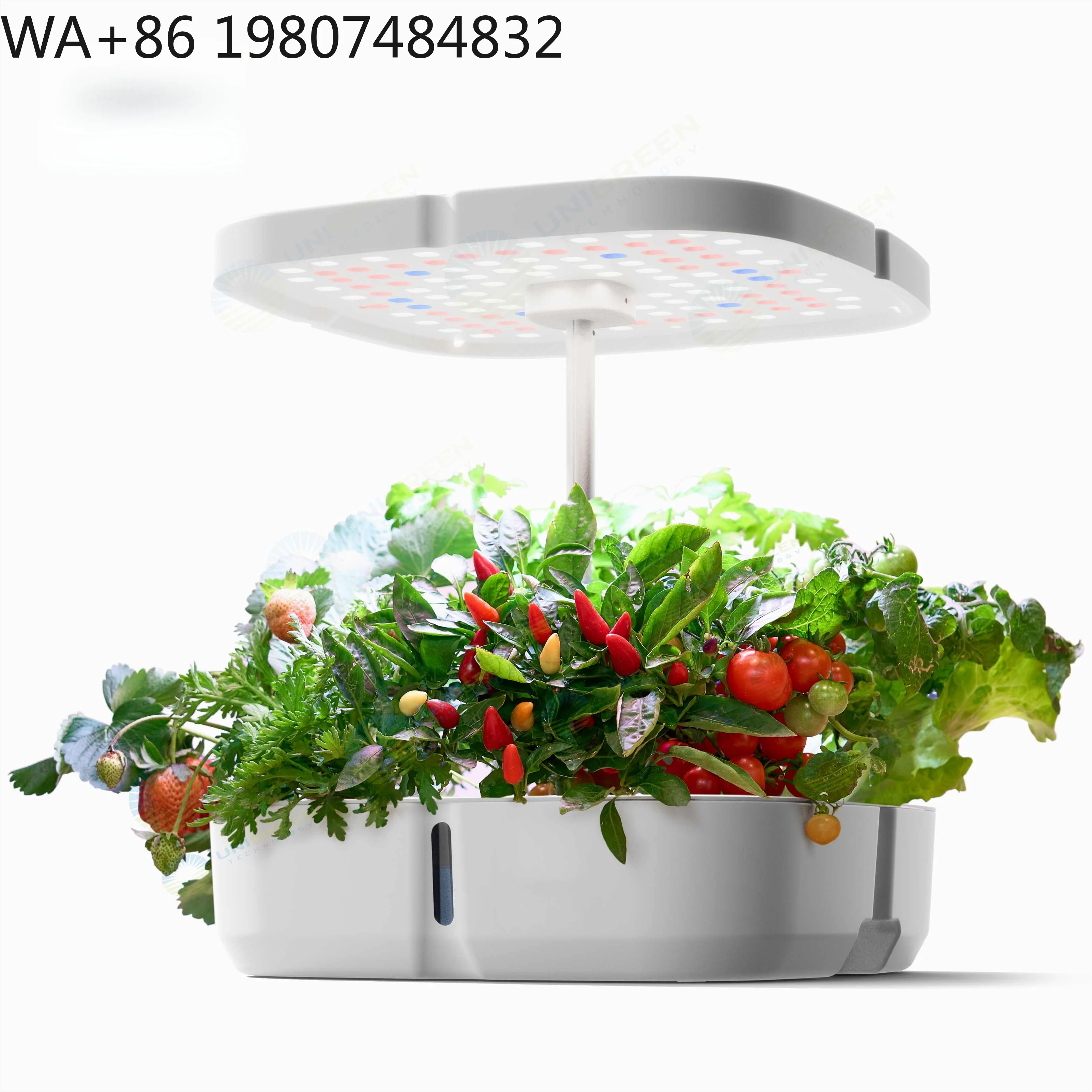 Built-in Circulation Pump 8-hole Soilless Cultivation Kit Full Spectrum LED Fill Light  Indoor Balcony Herb Lettuce Seedling