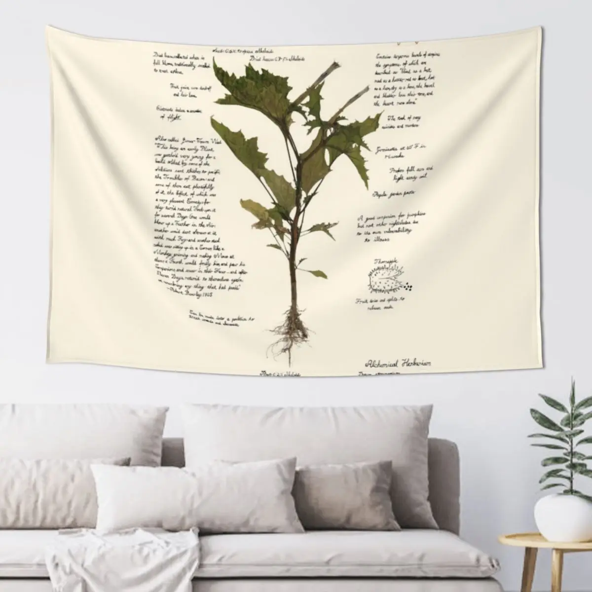 

Devil's Snare - Datura stramonium Tapestry Room Decor For Girls Decoration For Rooms Things To The Room Bedroom Decor Tapestry