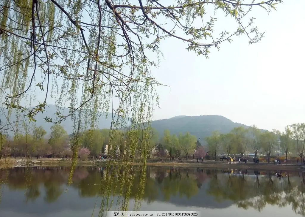 

Мягкие резиновые шины 0,7 дюйма (40x16 мм) с пенопластовыми вставками для радиоуправляемых краулеров Axial SCX30 в масштабе 1/30, включая Micro Crawler.