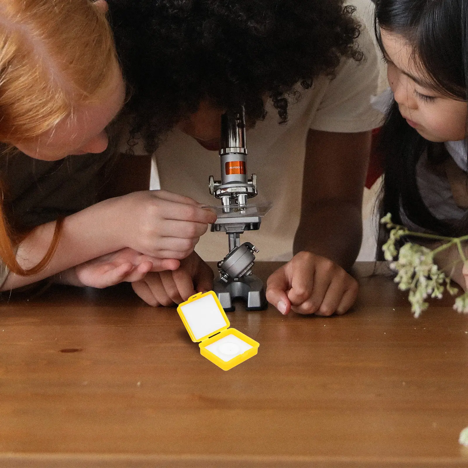 

Precision Microscopic Eyepiece Micrometer High-Accuracy Ocular Scale Reticle Calibration Slide Cell Pathology Research