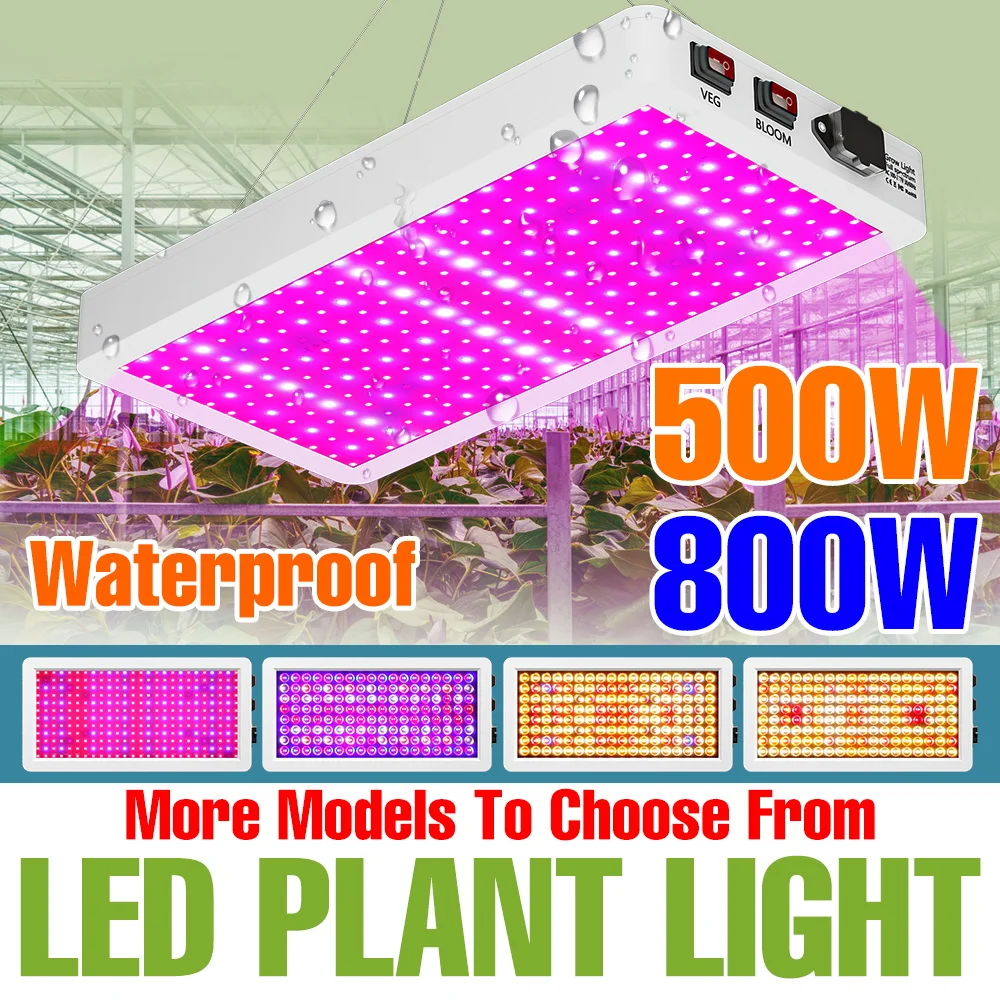 800W Led Full Spect…