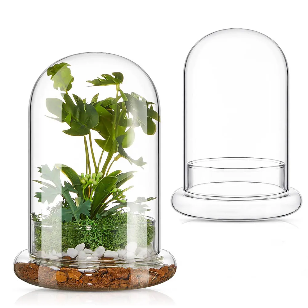 Glass Dome with Airhole Glass Cloche Bell Jar with Base Home Tabletop Display Clear Terrarium