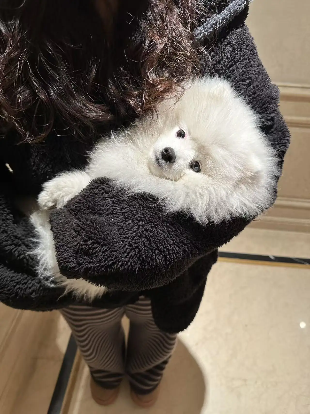 O2 to Derm Oxygen Dome Facial Therapy Machine for Skin Rejuvenation