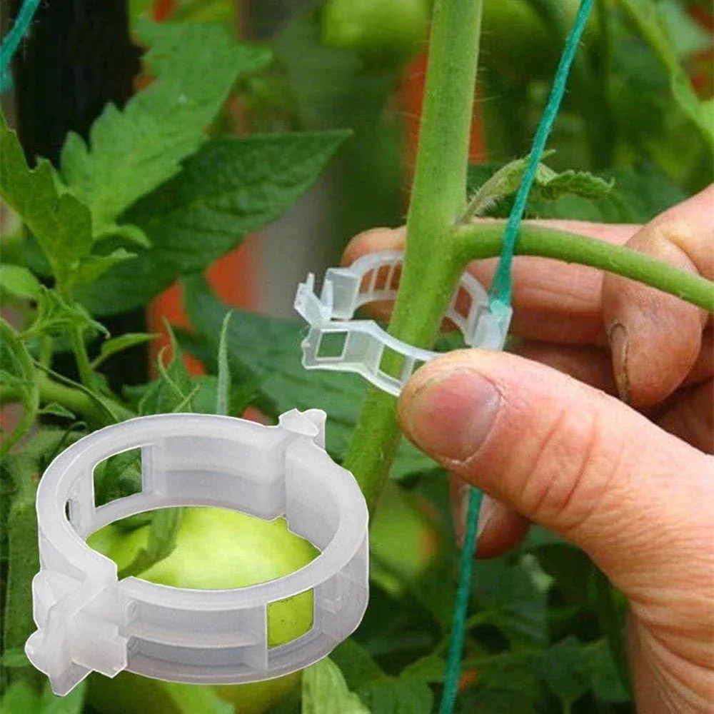 50/100Pcs Reusable Plastic Plant Grafting Clamps Fixing Brackets Garden Seedling Support Horticulture Growing Tools