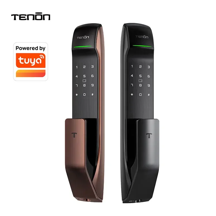 Tenon A2 Electronic Smart Lock Tuya Push Pull Intelligent Fingerprint Digital Smart Door Lock For Apartment Building