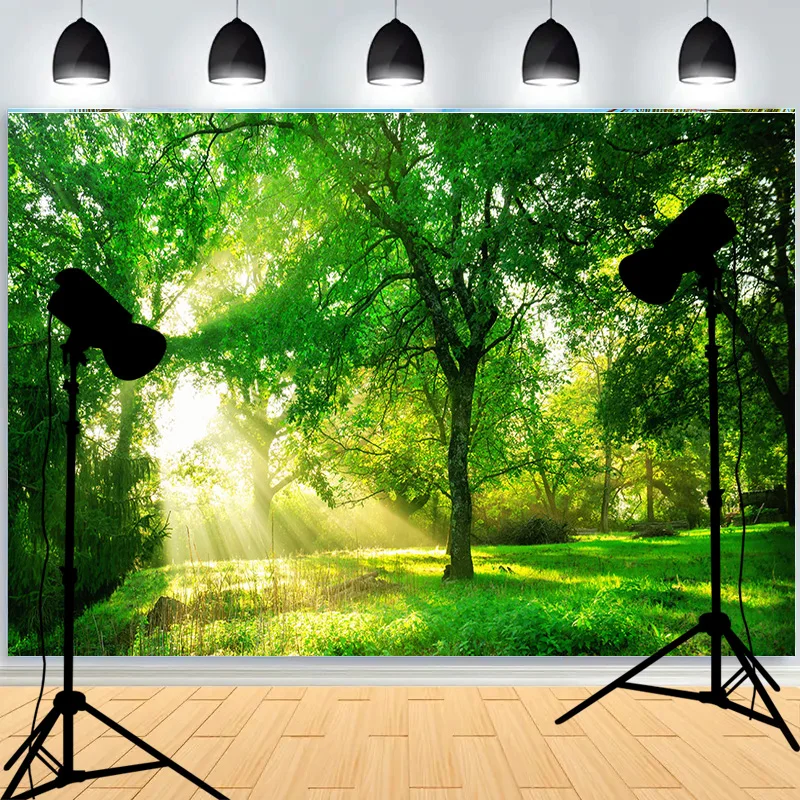 Snow Winter Forest Photography Backdrops Shrubbery Nature Scenery Ferns In Tropical Rainforest Photo Studio Background RR-02