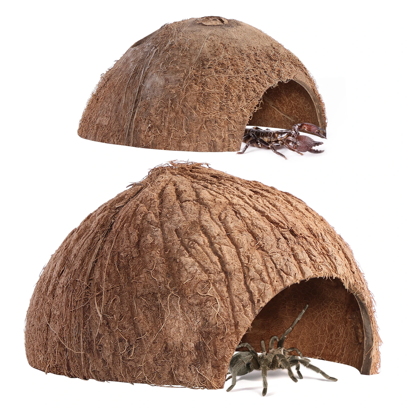 

2Pcs Natural Coconut Shell Hut Reptile Hideouts Cave for Lizard Spider Snail Hermit Crab Pet Supply Coconut Shell