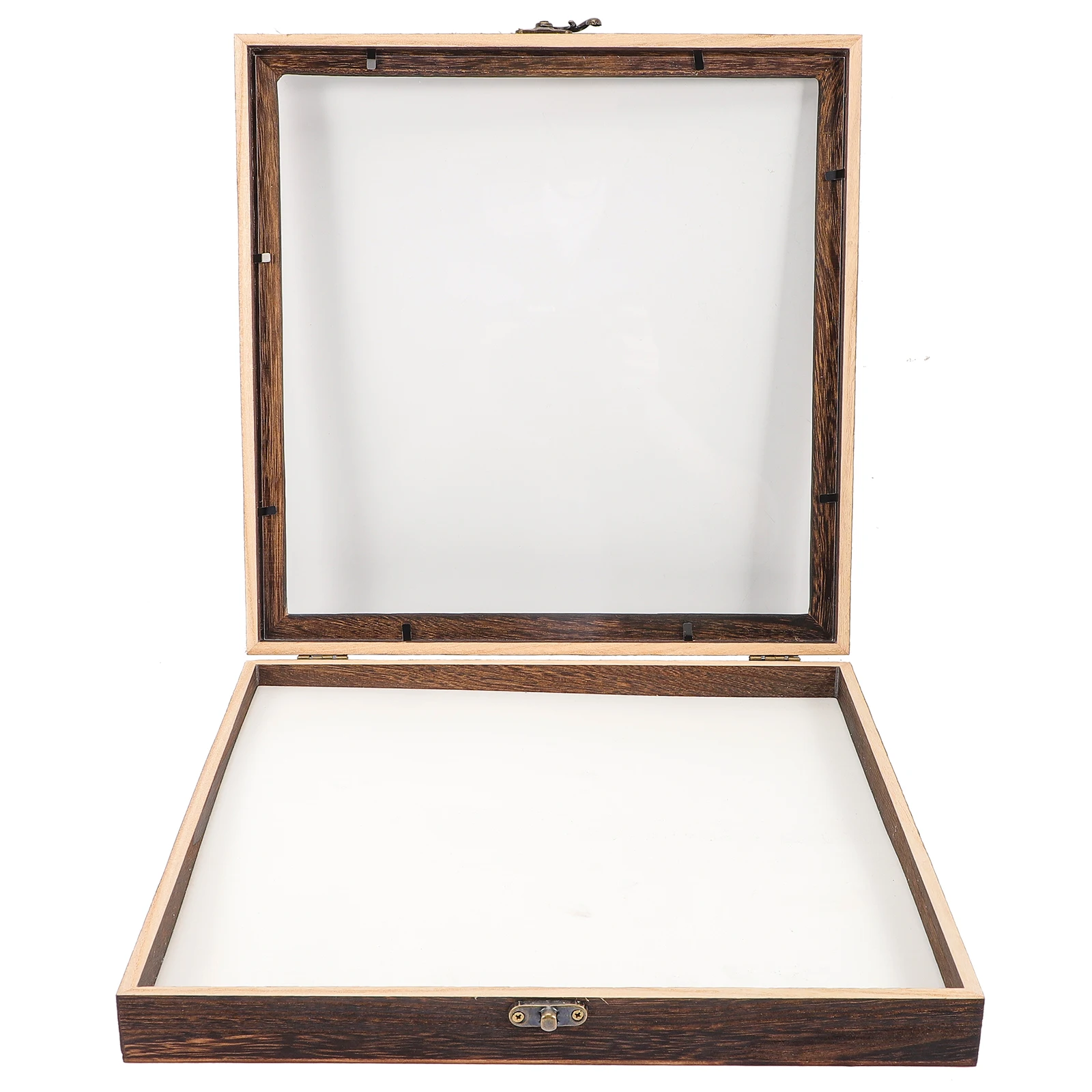 

Butterfly Specimen Display Box Bugs Keepsake Storage Boxes Case Insect Combination Decorate