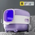 Sauce purple