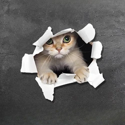 1PC 3D Effect Cat Motorcycle Stickers Waterproof Motorbike Fuel Tank Helmet Decor Car Window Sunscreen Funny Animal Vinyl Decals