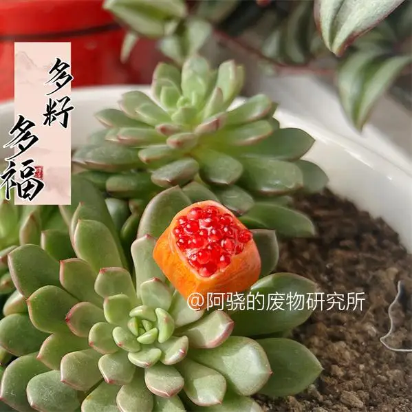 Red Pomegranate, Keycap, Fruit, Cross Axis Mechanical Keyboard Customization
