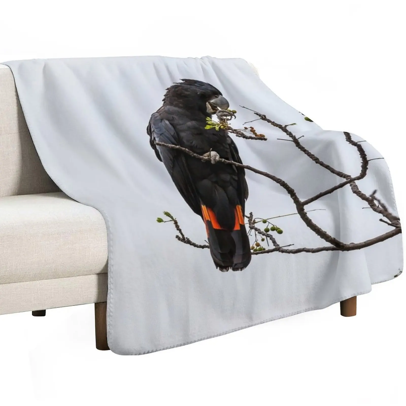 Animal Collection - Black Cockatoo Red Tail Throw Blanket Warm Fashion Sofas Thermal Picnic Plush Giant Sofa Blankets