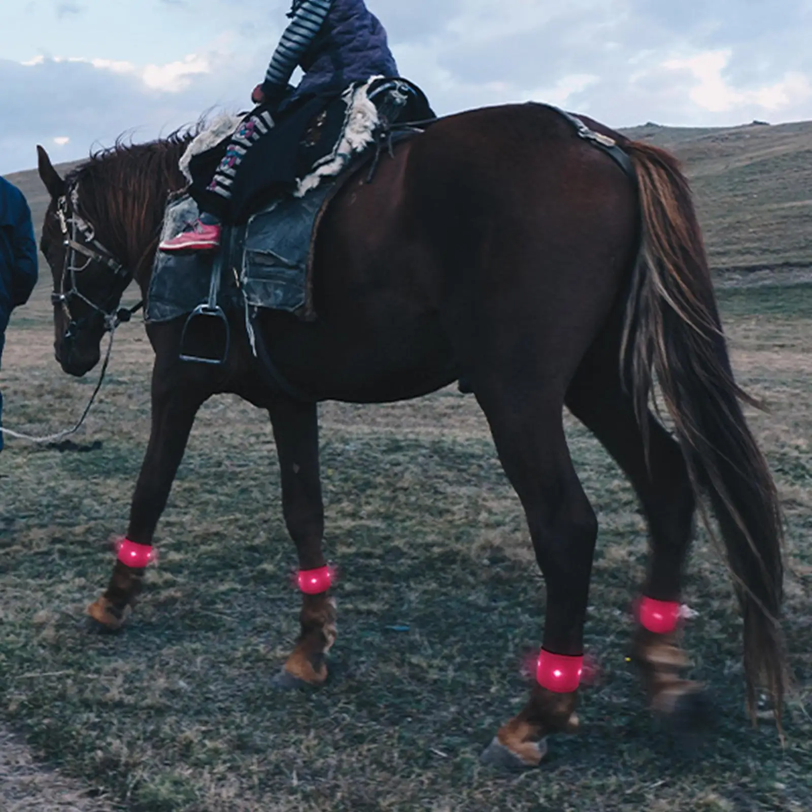 faixa-de-tornozelo-led-para-cavalo-acessorio-equestre-impermeavel