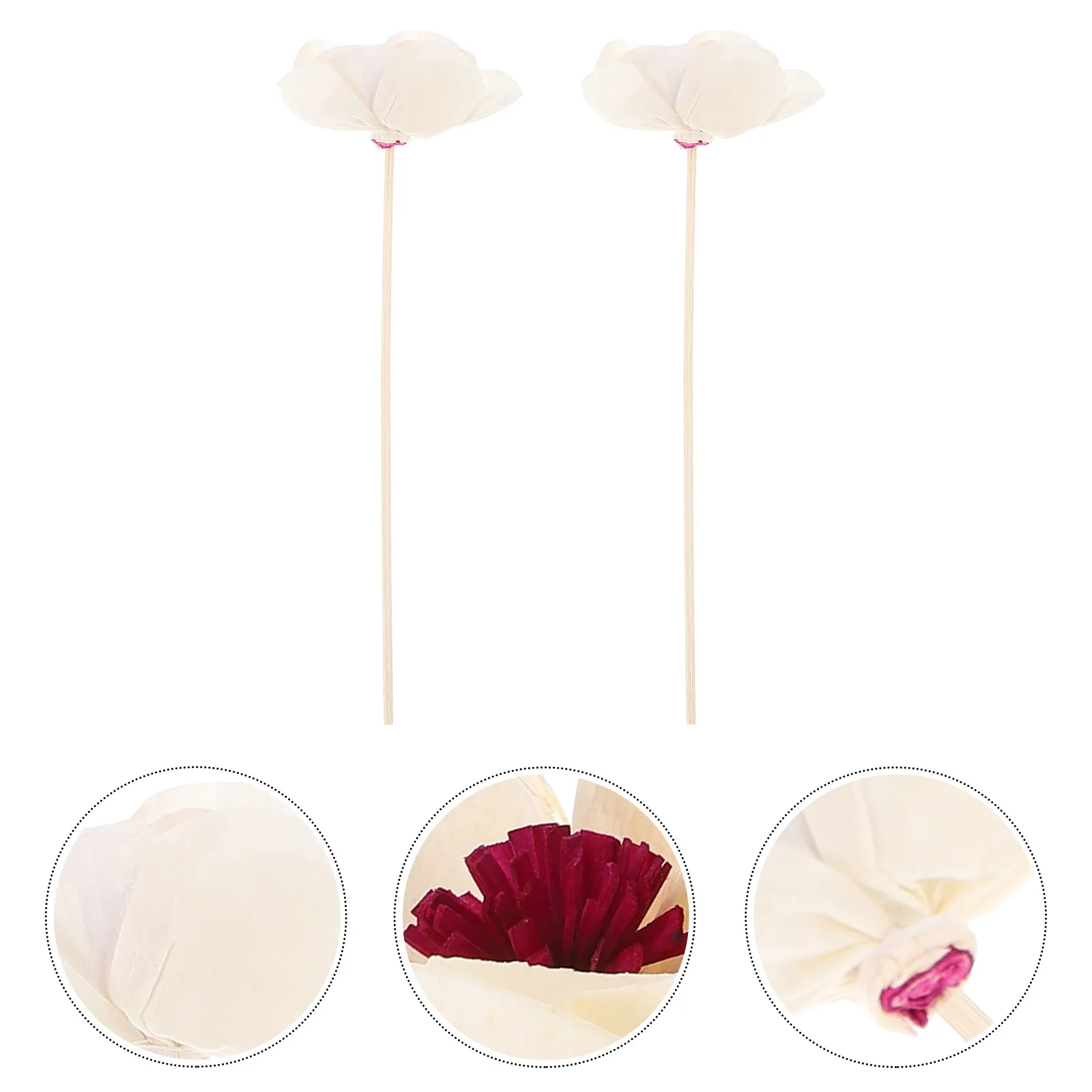 2Pcs Diffuser Sticks Aromatherapy Rattan Vines Dried Flower Home Decoration Essential Oil Vines Aroma Rattans Room Fragrance