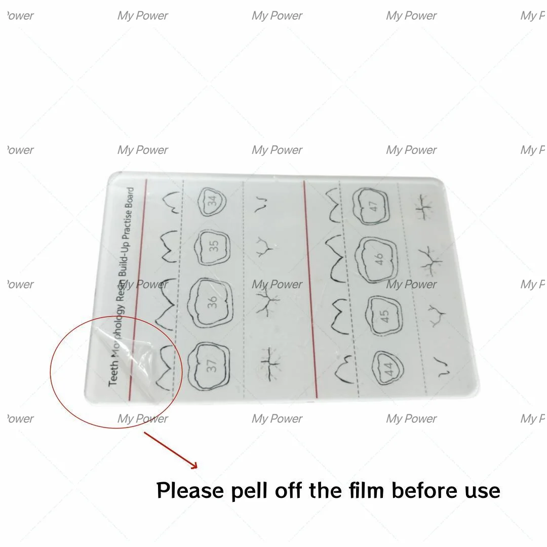 Dental Composite Resin Filling Template Fill Build Up Model Dentist Model  Black/White