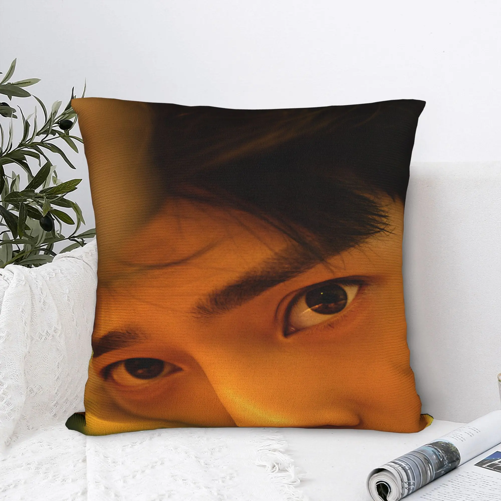 The Early Spring Pillow Cover C Drama Vintage Pillow Case For Sofa Bedroom Home Decor Print Cushion Cover Birthday Present