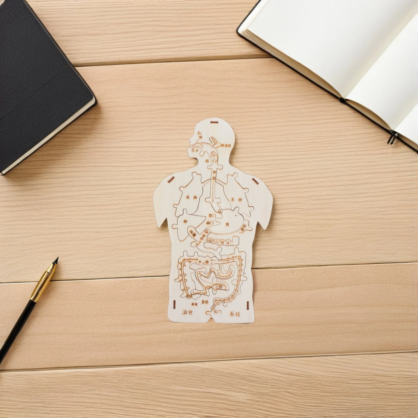 

3Pcs Wooden Human Body Puzzle System Design Montessori Educational Game for Kids Learning Kit