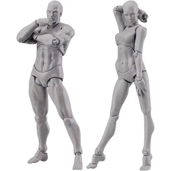 Muñeca de cuerpo articulada para hombre y mujer, conjunto de maniquí articulado con cabeza de bloque para artistas, figuras de dibujo