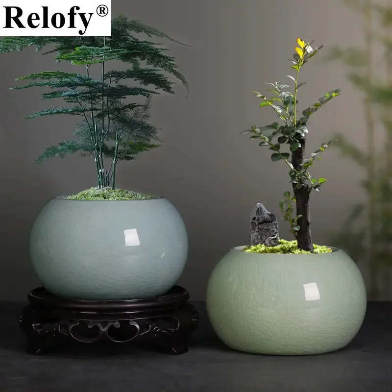 Household Creative Ceramic Potted Plant Flowerpot Flower Bodhi Green Plants Growers, Family Living Room Table Decoration, Crafts