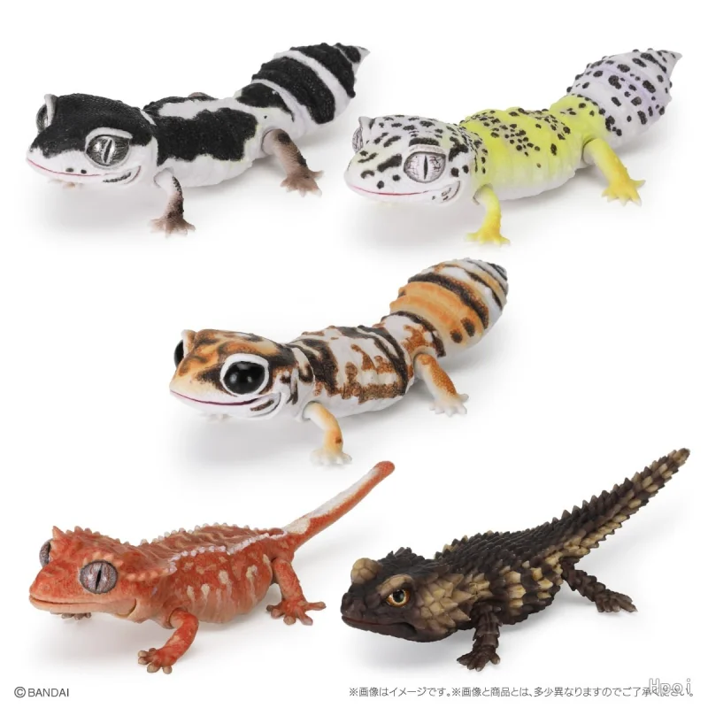 

Bandai Original 5Pcs Gashapon The Diversity of Life on Earth SELECTED EDITION Toys For Kids Gift Collectible Model Ornaments