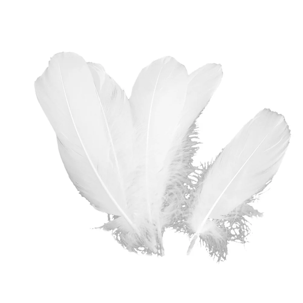 

150Pcs Natural White Goose Pure Natural Texture DIY Wedding Party Decor Craft Material Party Dress-Up